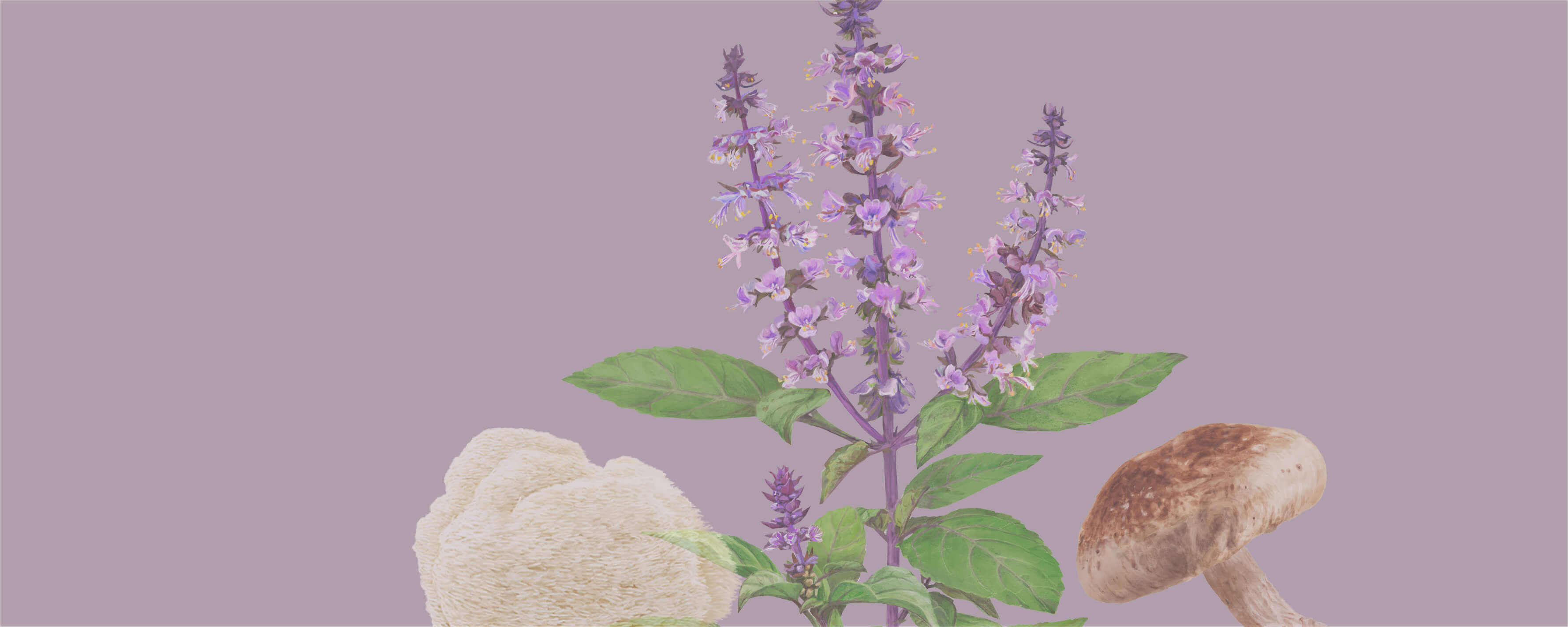 NUTREXIN Basenbad Original