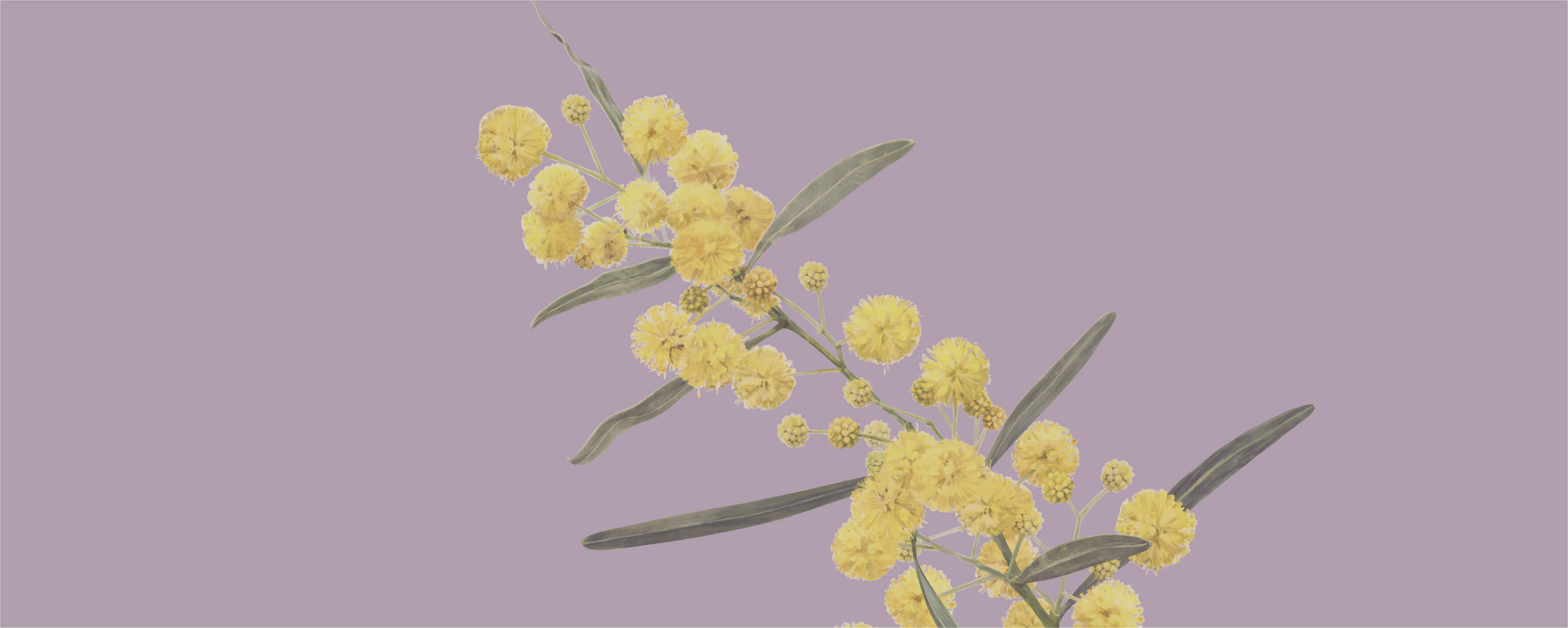 NUTREXIN Basenbad Original