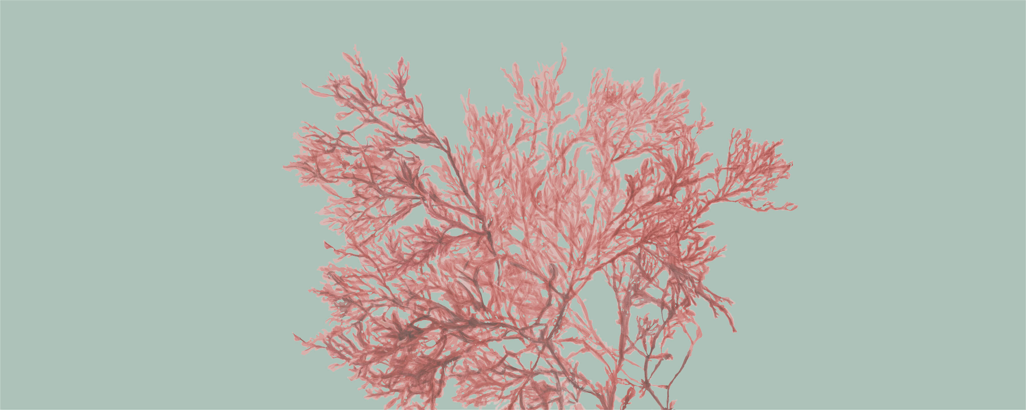 NUTREXIN Augen Aktiv