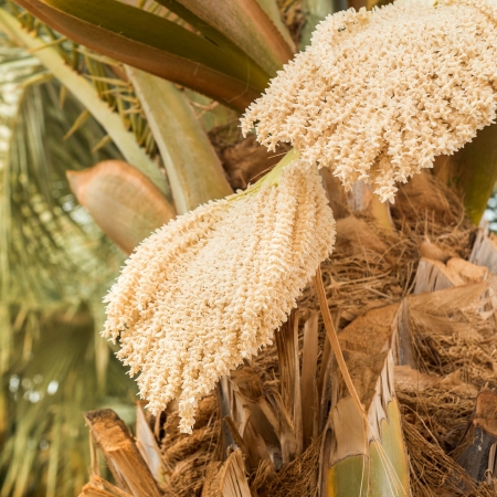 Den Stoffwechsel Aktivieren Nerven Und Muskeln Unterstützen