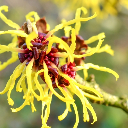 Sicherer Schutz ohne Aliminium und Hautreizungen